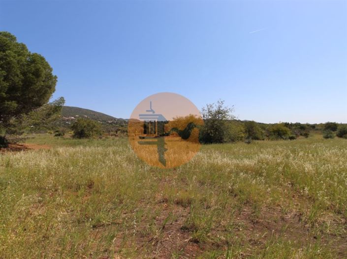 Image No.41-2 Bed House for sale