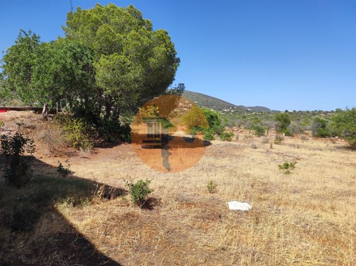 Image No.42-2 Bed House for sale