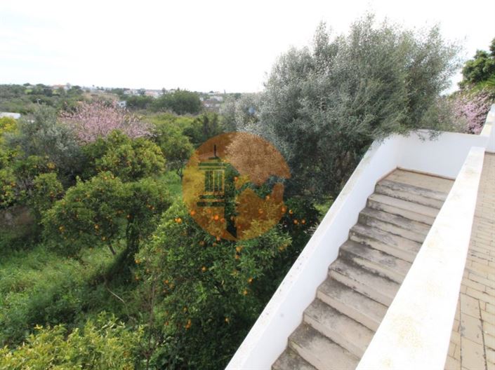 Image No.31-Maison de 3 chambres à vendre à Loule