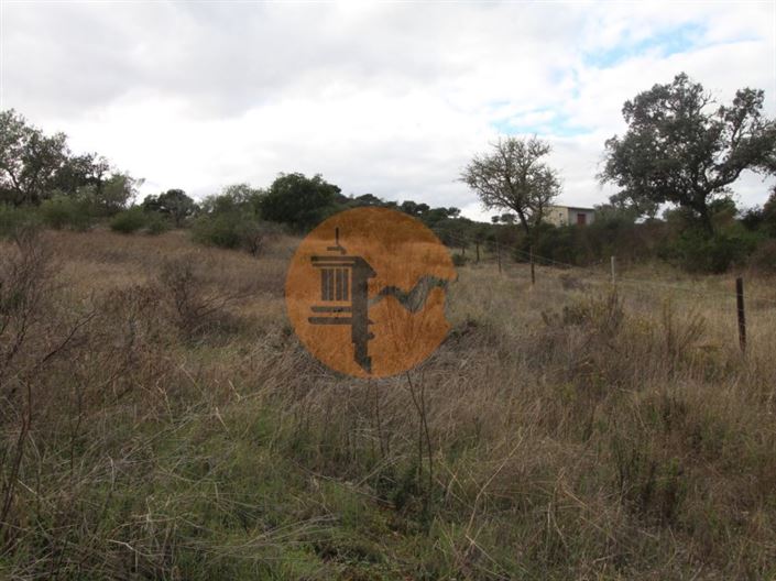 Image No.5-Plot for sale