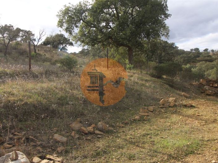 Image No.6-Plot for sale