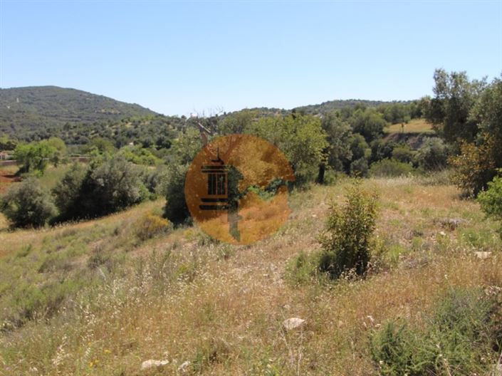 Image No.11-Terrain à vendre à Sao Bras de Alportel