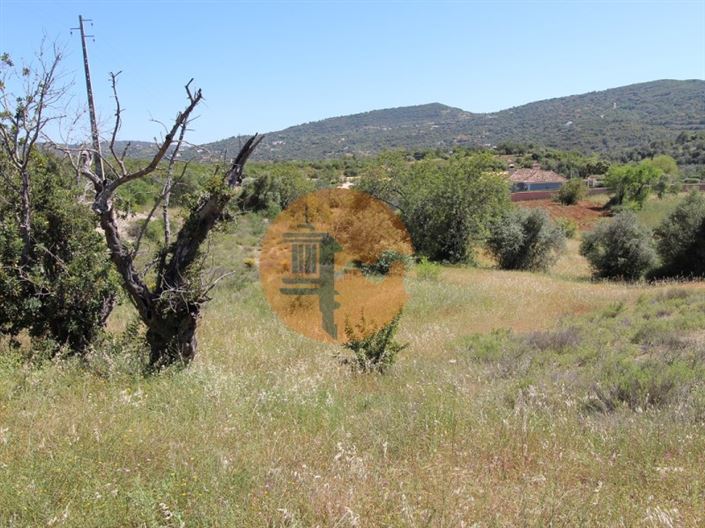 Image No.12-Terrain à vendre à Sao Bras de Alportel