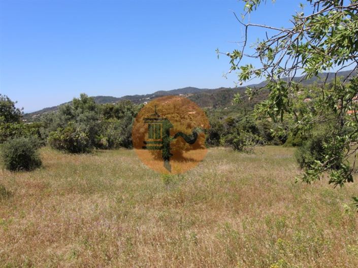 Image No.13-Terrain à vendre à Sao Bras de Alportel