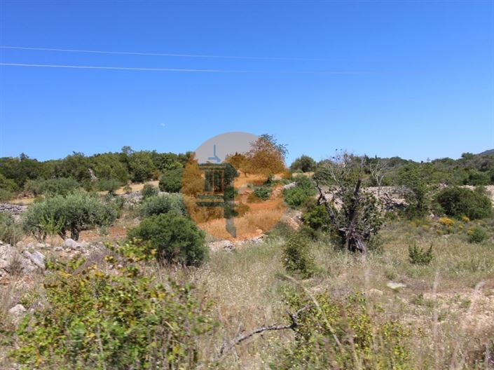 Image No.7-Terrain à vendre à Sao Bras de Alportel