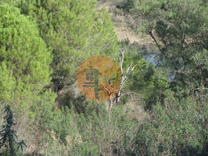 Image No.10-Plot for sale