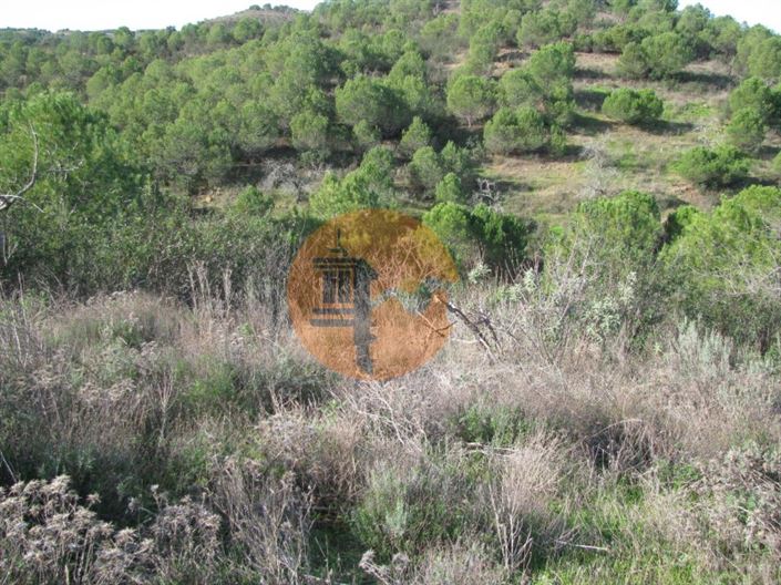 Image No.15-Plot for sale