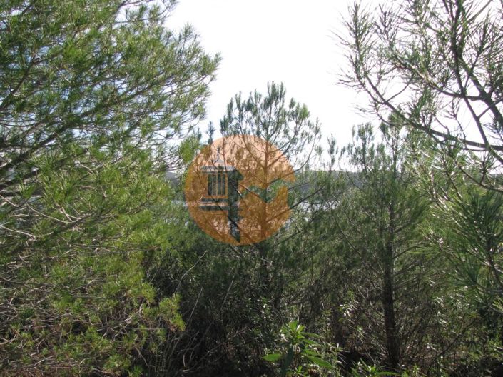 Image No.17-Plot for sale