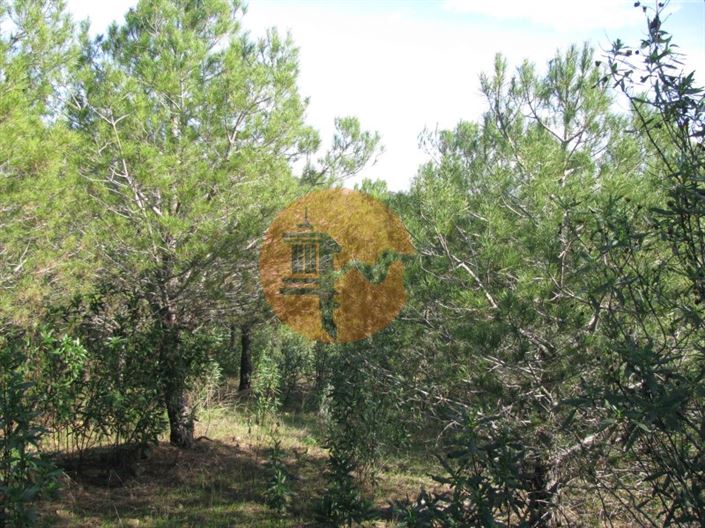 Image No.18-Plot for sale