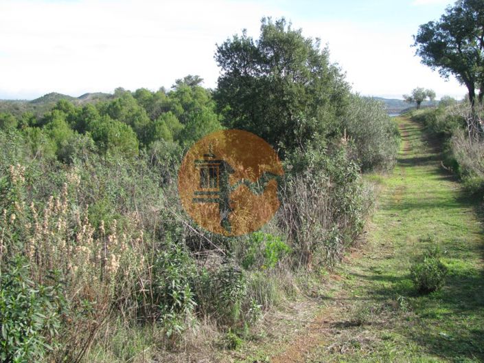 Image No.5-Plot for sale