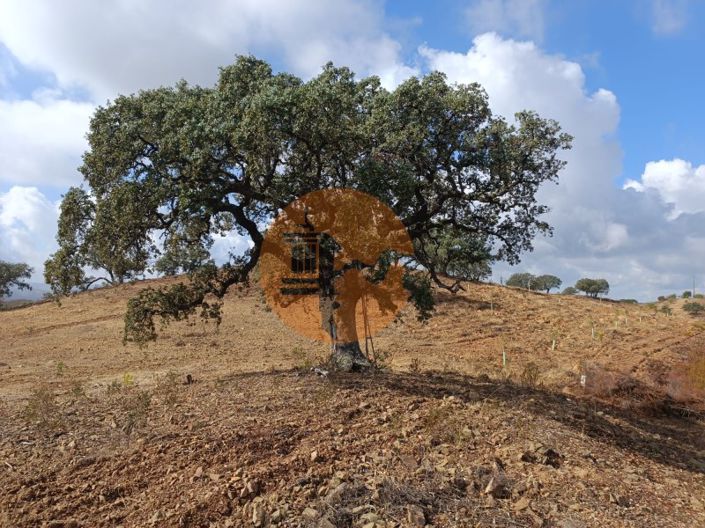 Image No.11-Plot for sale