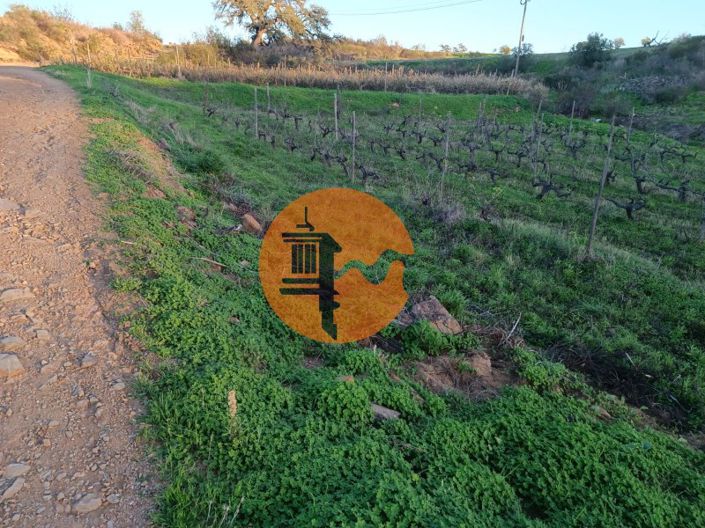 Image No.21-Plot for sale