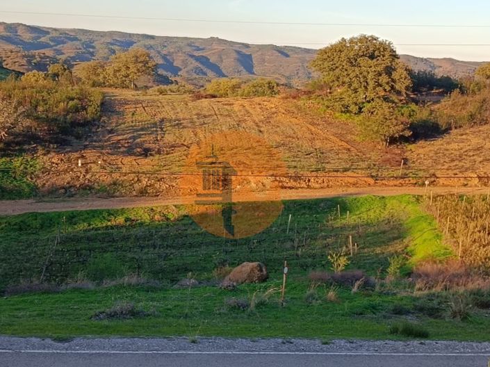 Image No.26-Plot for sale