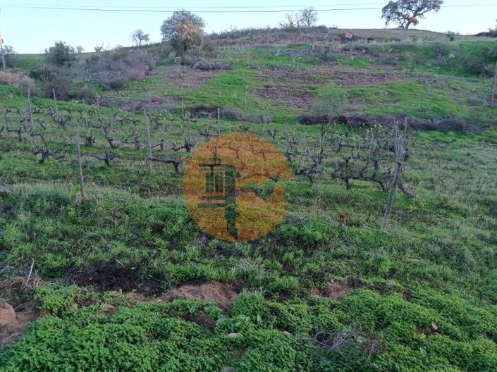 Image No.27-Plot for sale