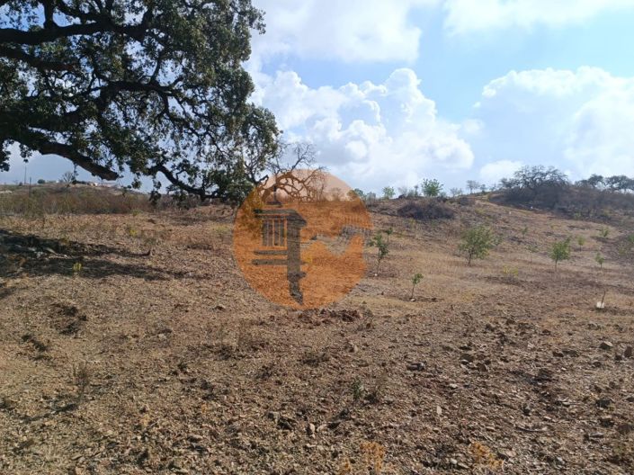 Image No.4-Plot for sale