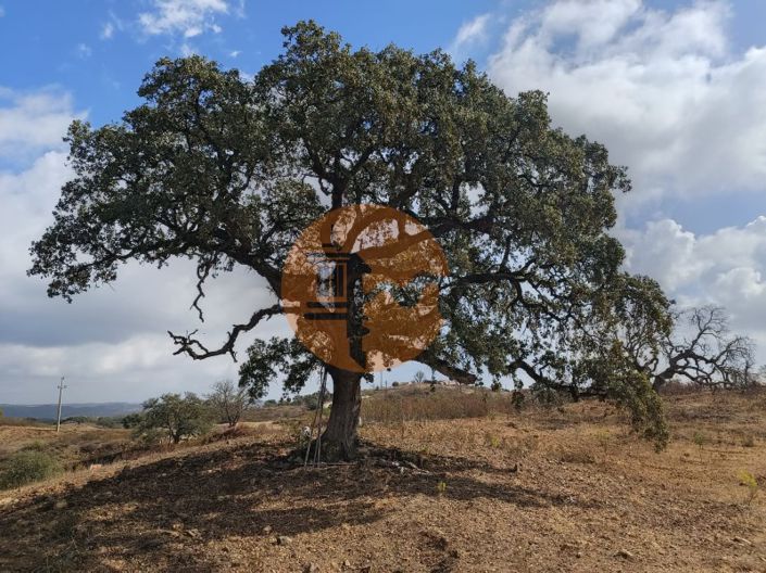 Image No.8-Plot for sale