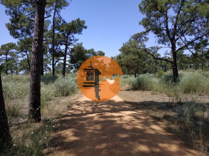 Image No.23-Plot for sale