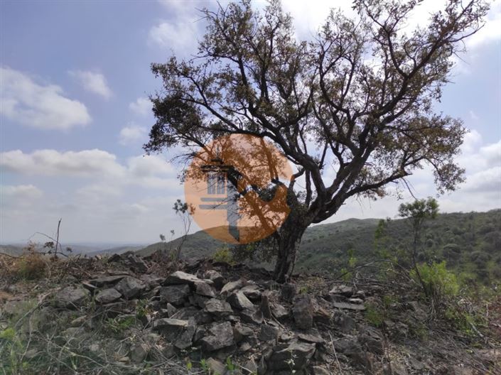 Image No.1-Plot for sale