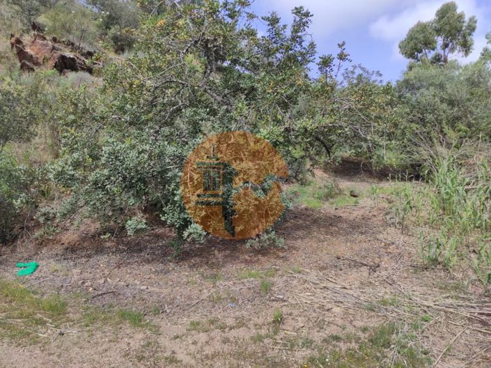 Image No.17-Plot for sale