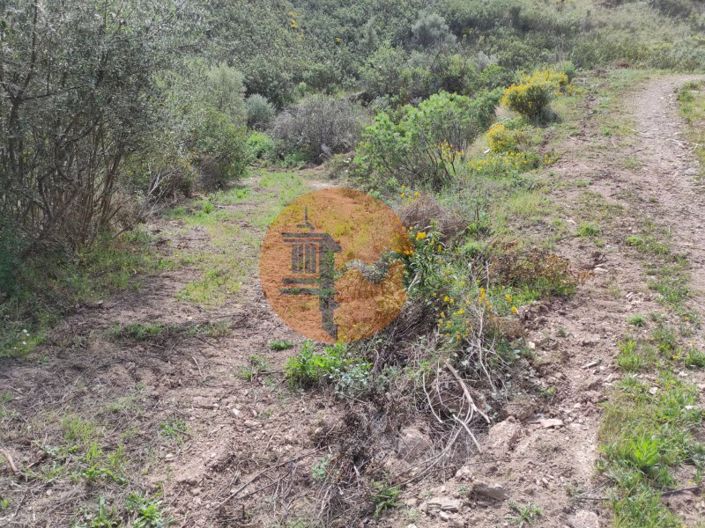 Image No.20-Plot for sale