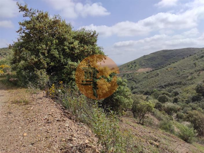 Image No.28-Plot for sale