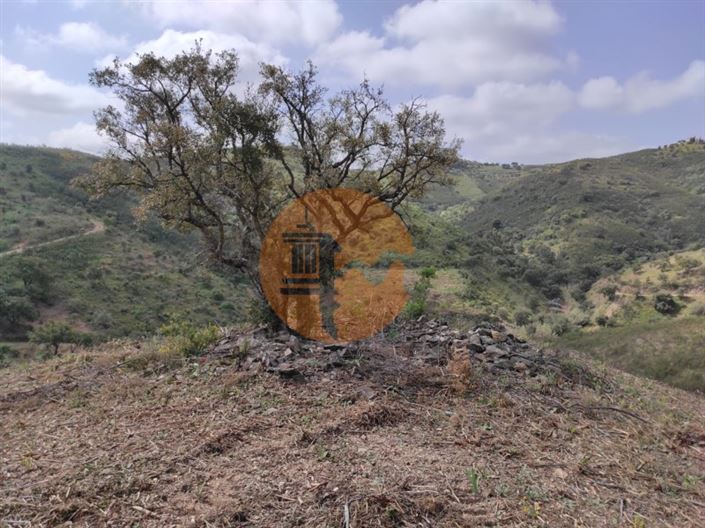 Image No.31-Plot for sale