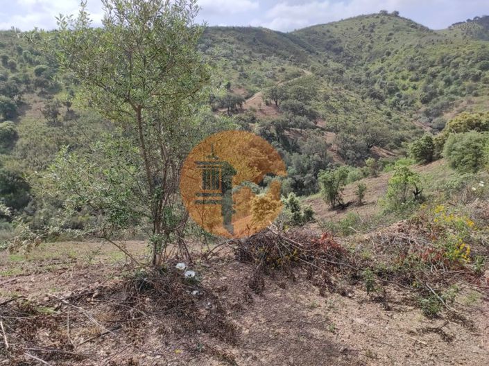 Image No.34-Plot for sale