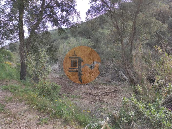 Image No.35-Plot for sale