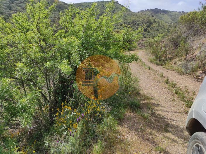 Image No.37-Plot for sale