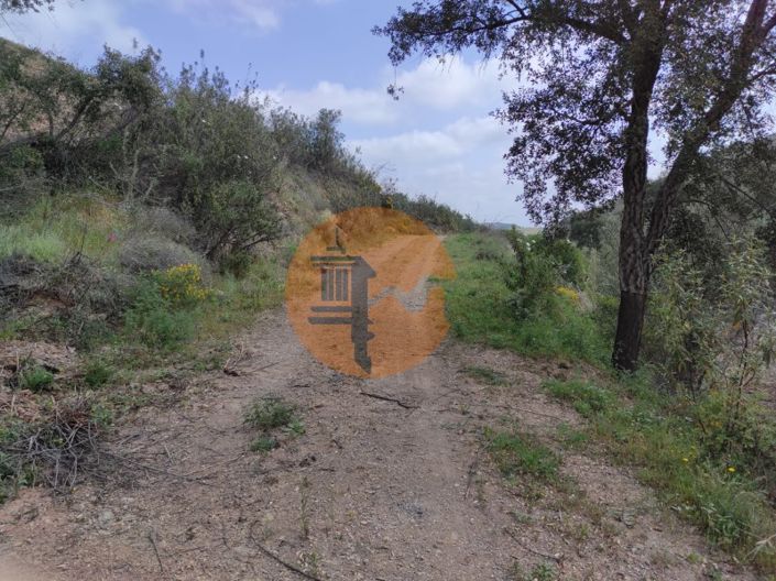 Image No.39-Plot for sale