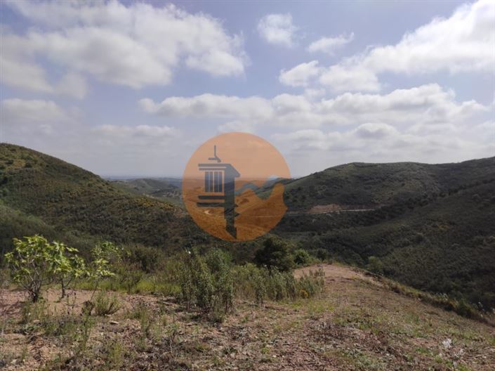 Image No.44-Plot for sale