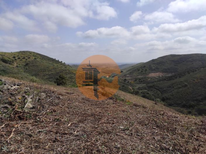 Image No.46-Plot for sale