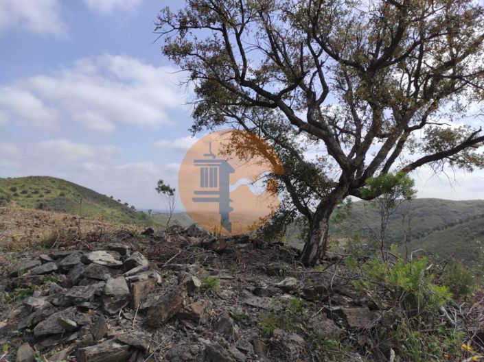 Image No.49-Plot for sale