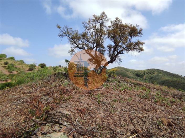 Image No.50-Plot for sale