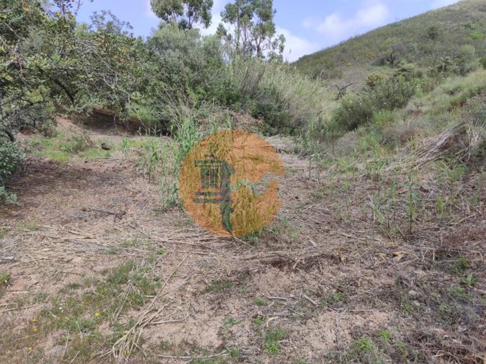 Image No.54-Plot for sale