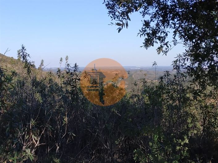 Image No.60-Plot for sale