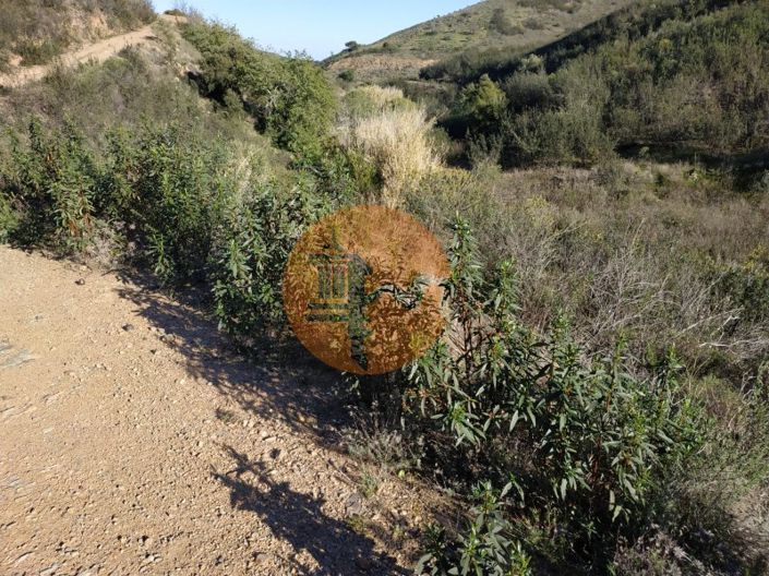 Image No.62-Plot for sale