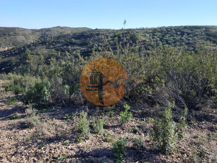 Image No.64-Plot for sale