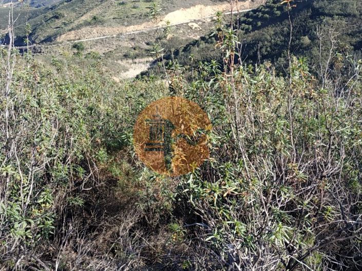 Image No.68-Plot for sale