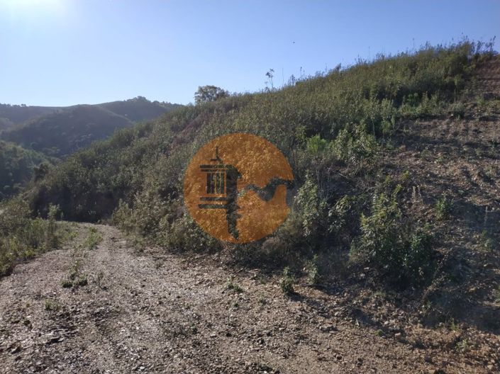 Image No.69-Plot for sale