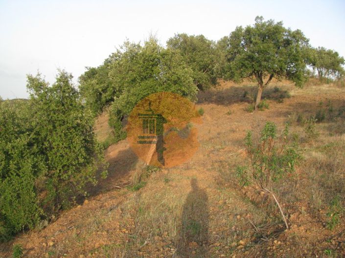 Image No.20-Plot for sale