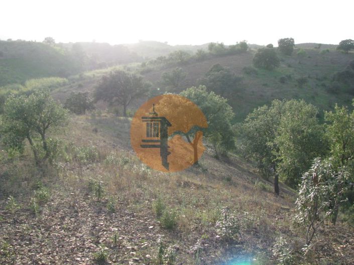 Image No.20-Plot for sale