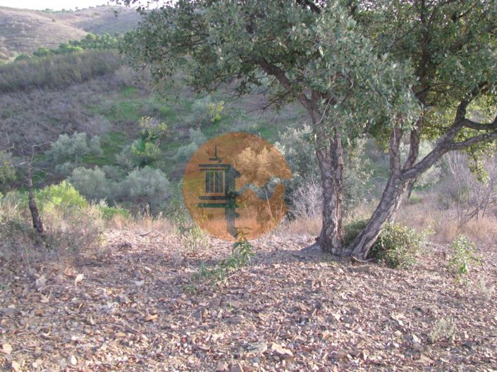Image No.22-Plot for sale