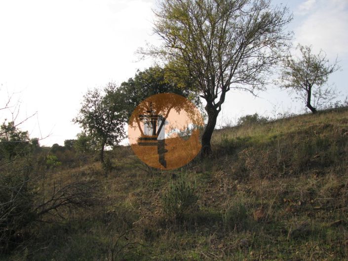 Image No.23-Plot for sale