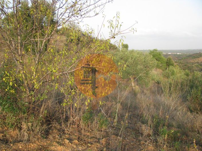 Image No.25-Plot for sale