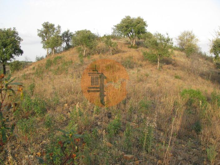 Image No.27-Plot for sale