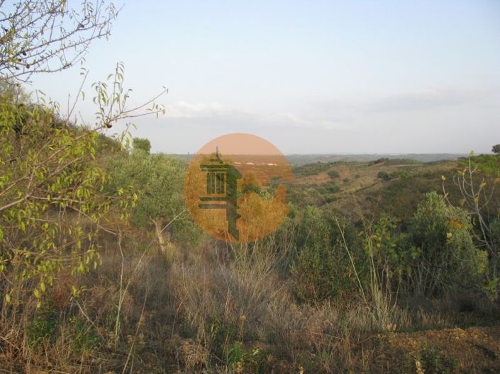 Image No.28-Plot for sale