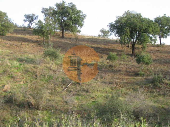 Image No.6-Plot for sale