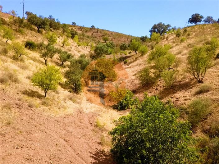 Image No.14-Plot for sale