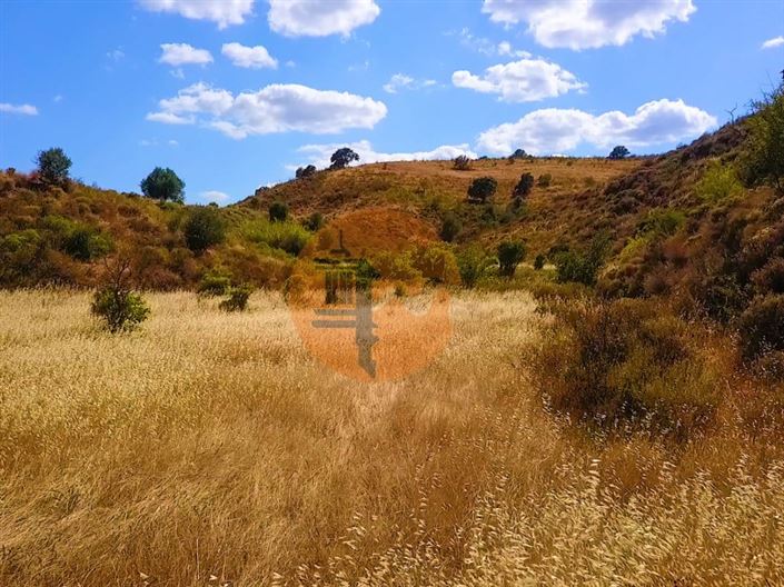 Image No.18-Plot for sale